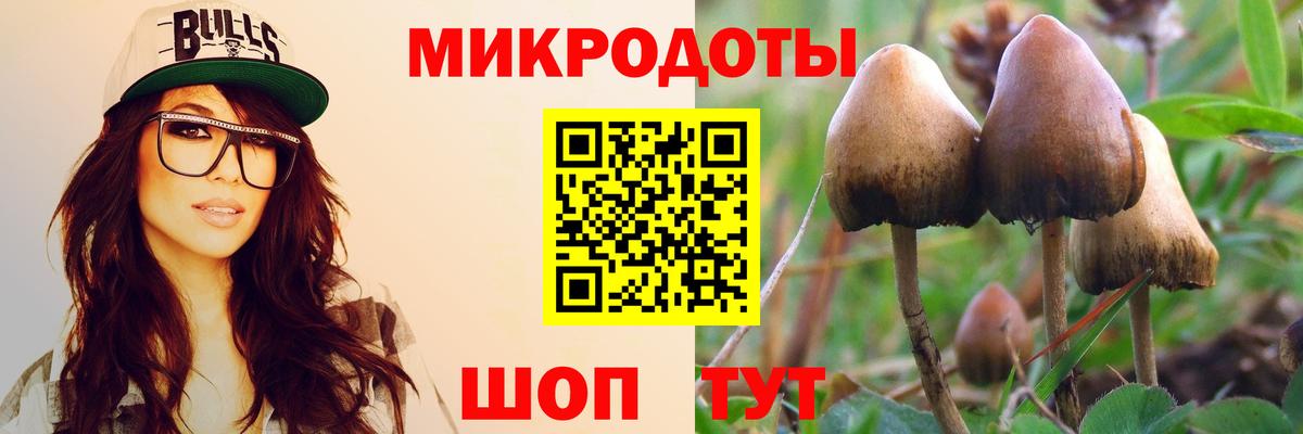 Галлюциногенные грибы GOLDEN TEACHER Йошкар-Ола